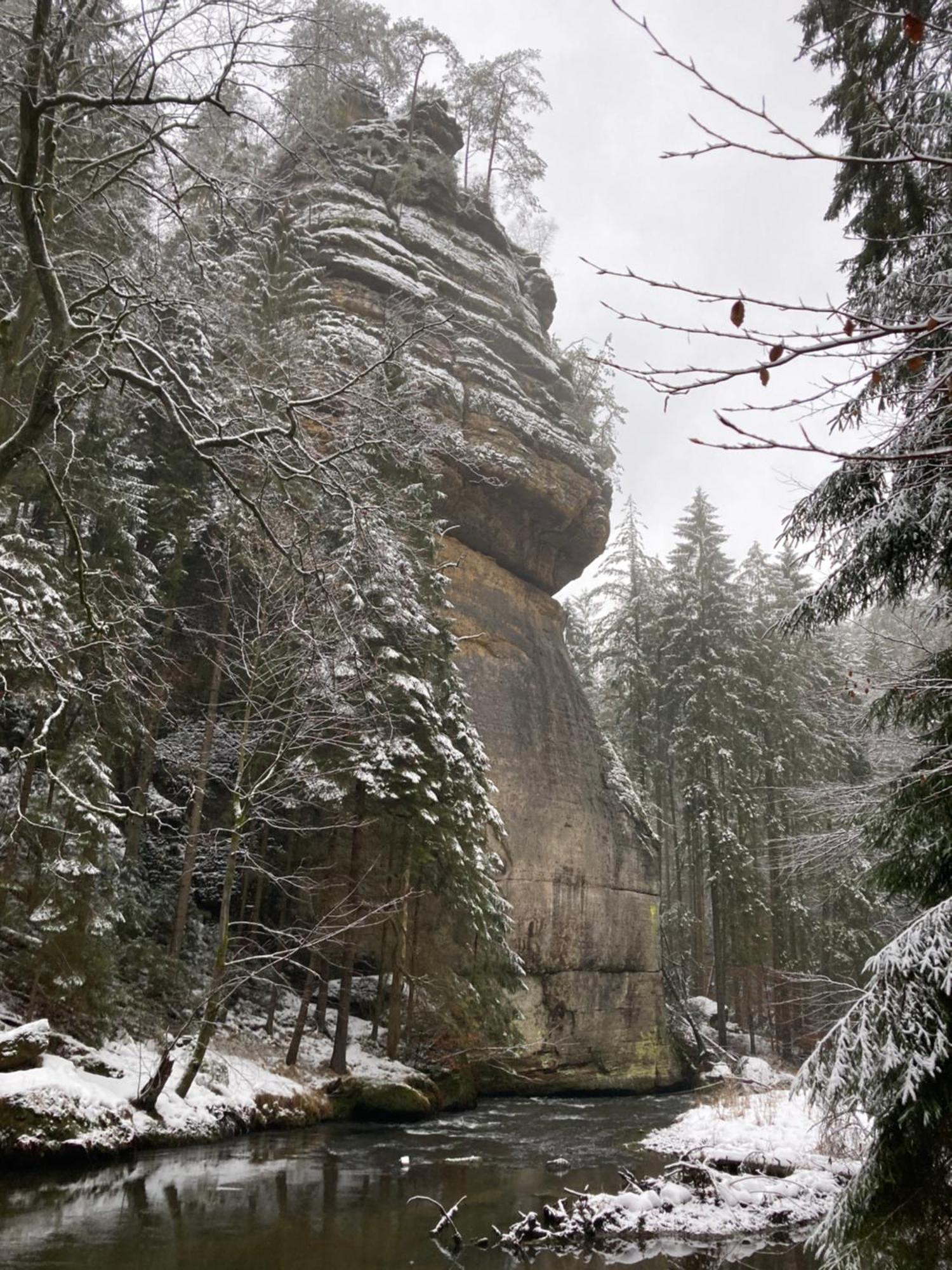 Pension Hofberg Jetřichovice Exteriör bild